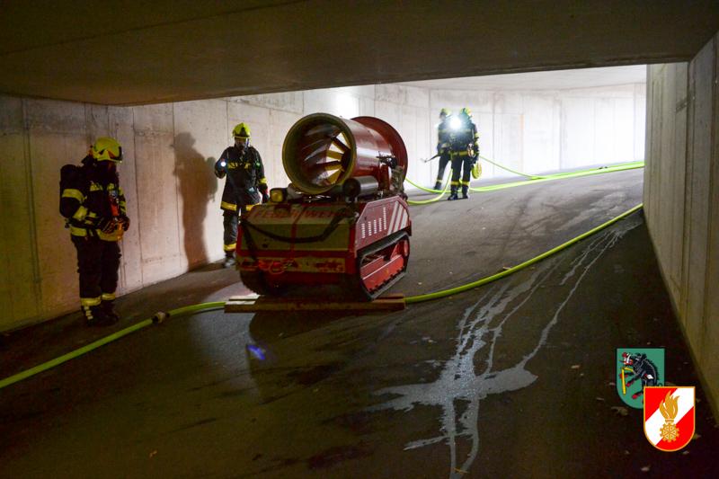 DSC_5001 Kopie DSC_5001 Kopie